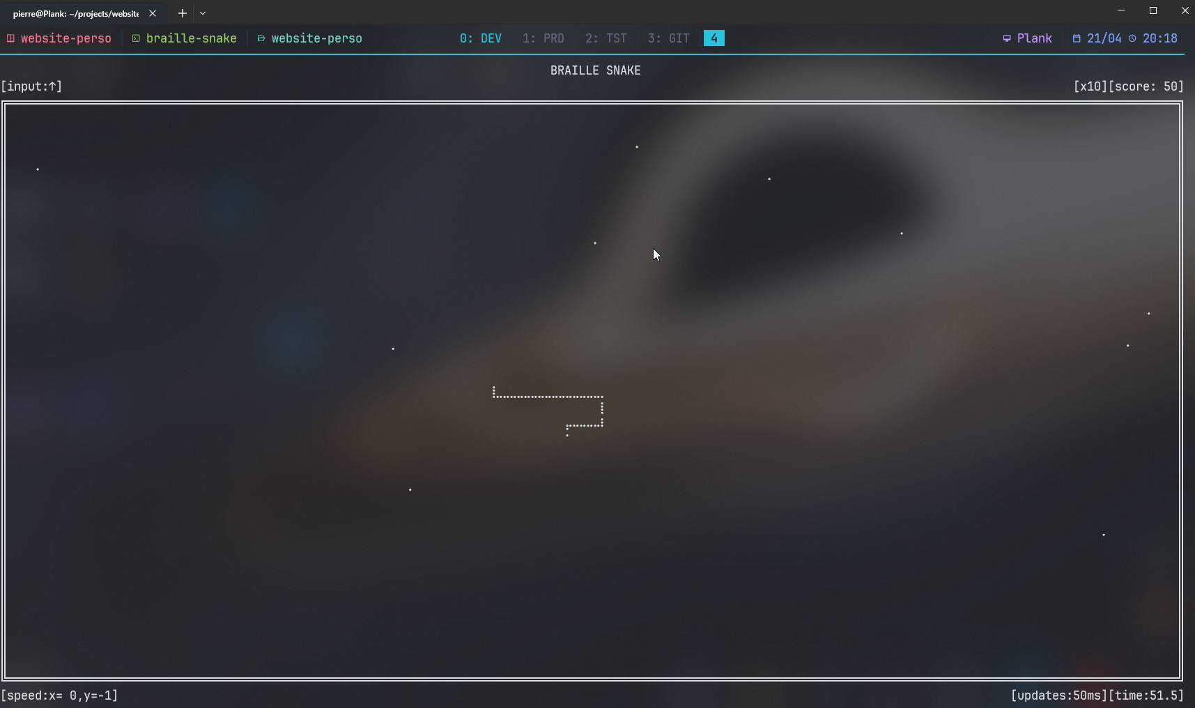 braille-snake running in a terminal